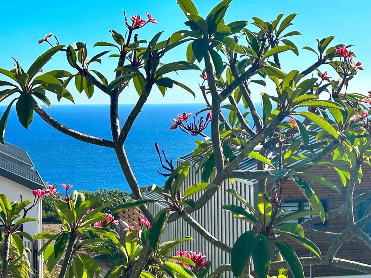 Le Reve Bleu Grand Anse Apartment Petite-Ile Exterior photo